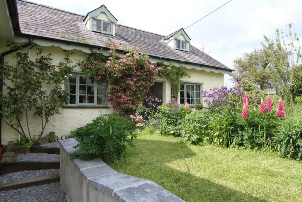 Parc Y Brenin Villa Dryslwyn Exterior photo