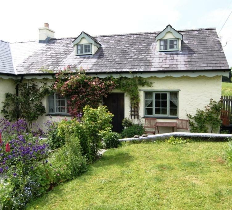 Parc Y Brenin Villa Dryslwyn Exterior photo